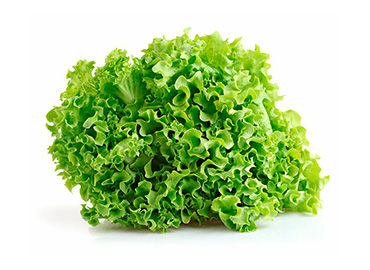 Lechuga crespa fresca en una cesta, ideal para ensaladas y platos saludables.