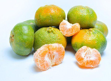 Mandarina Ambateña fresca y jugosa en primer plano