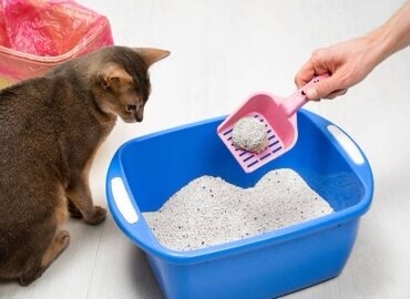 Arena para Gatos 15kg