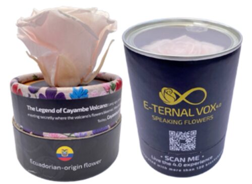 Pink Speaking Flower